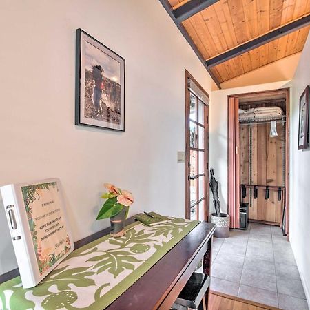 Cozy Volcano Studio With Phenomenal Rainforest Views Mountain View Экстерьер фото