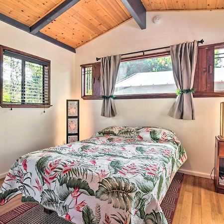 Cozy Volcano Studio With Phenomenal Rainforest Views Mountain View Экстерьер фото