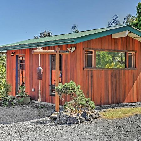 Cozy Volcano Studio With Phenomenal Rainforest Views Mountain View Экстерьер фото