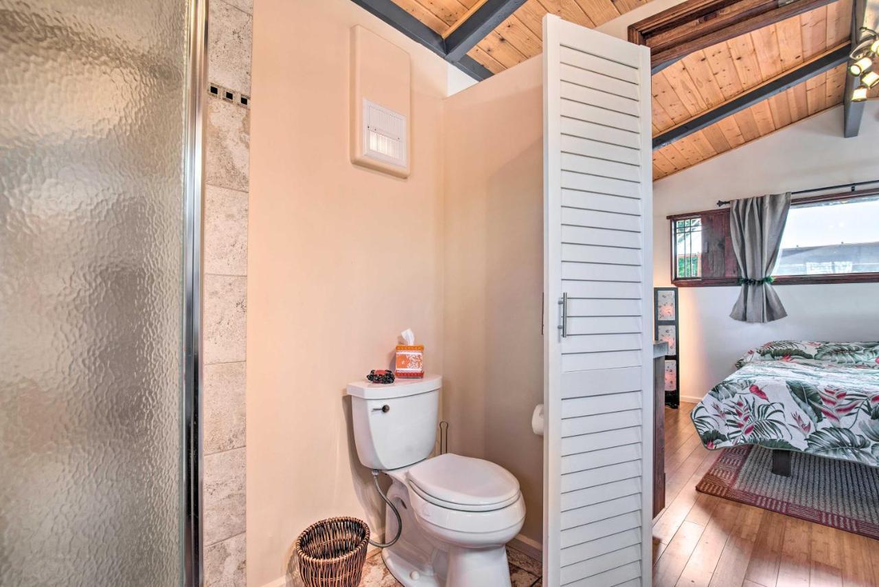Cozy Volcano Studio With Phenomenal Rainforest Views Mountain View Экстерьер фото